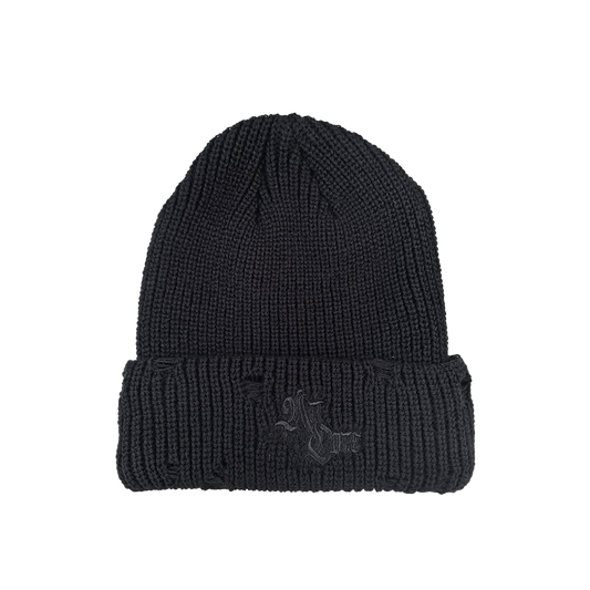 Artcore Beanie